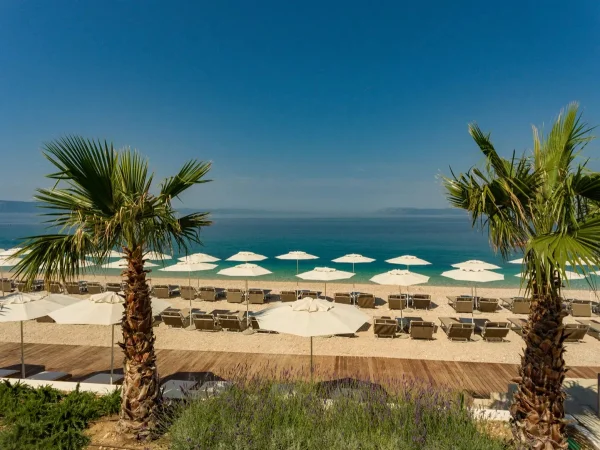 Discover the Charms of Podgora